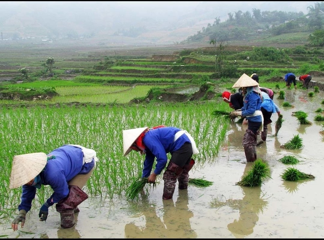 История тайского массажа