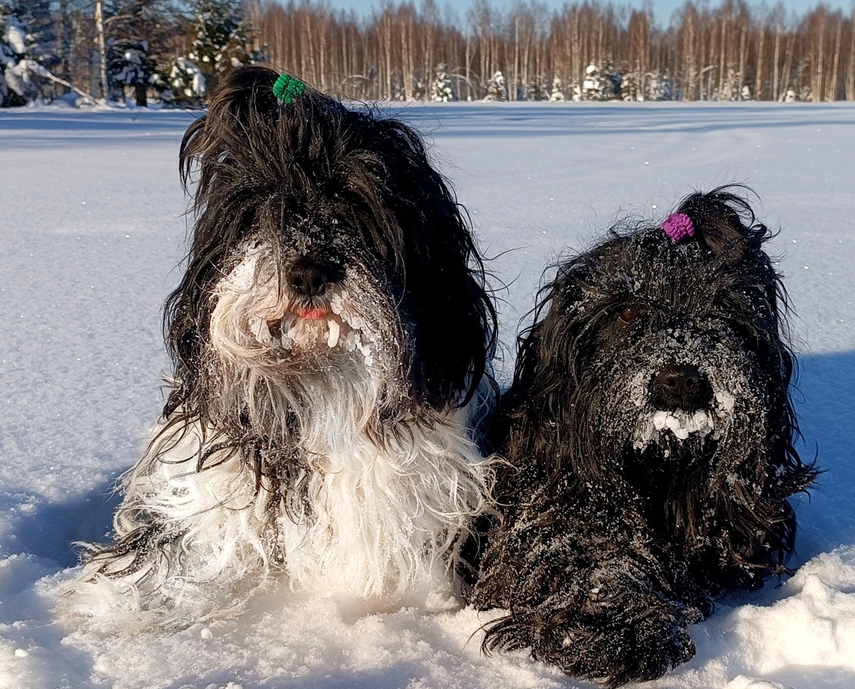 Лаврик и Ева