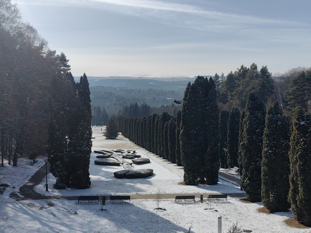 Долина роз Кисловодского парка. Фото автора