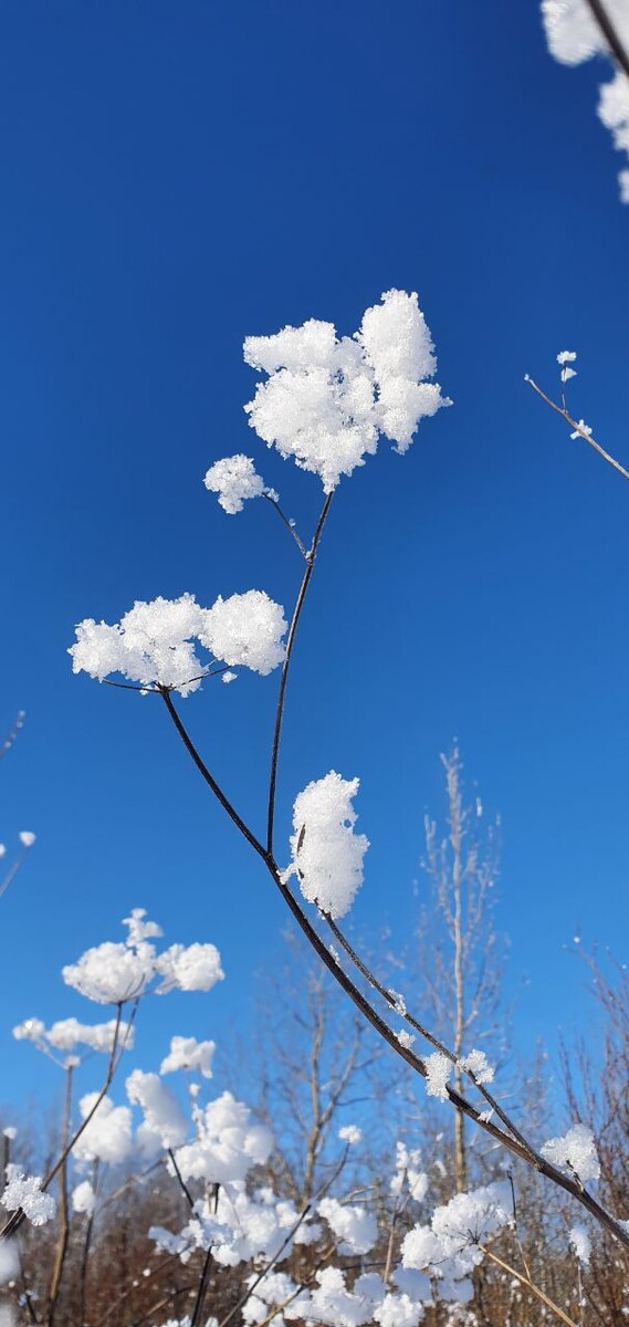 Фото моё 01.02.2026