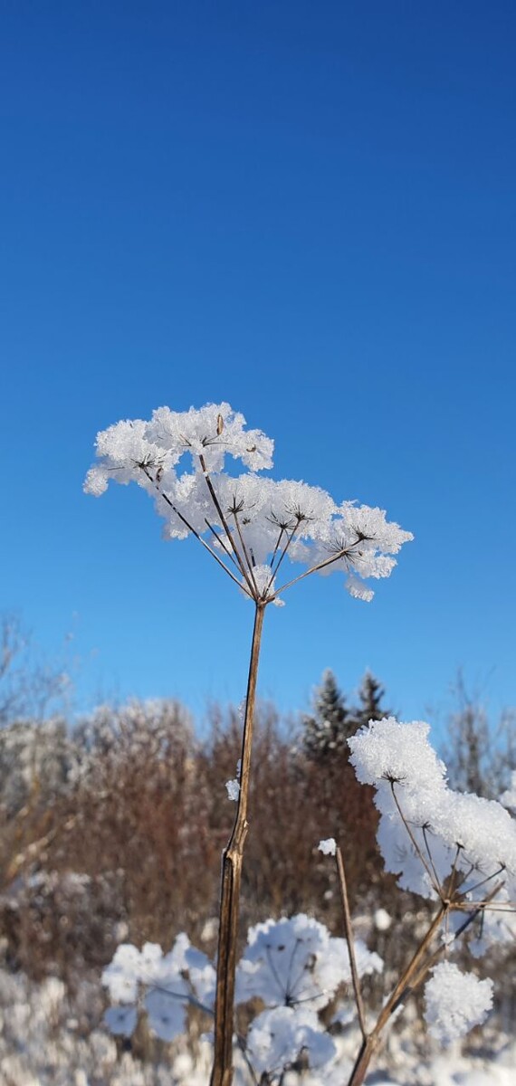 Фото моё 01.02.2026