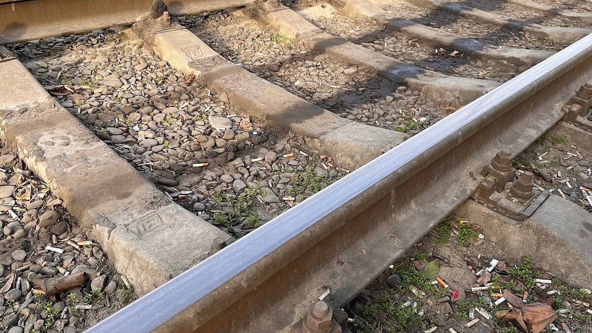    Фото: телеканал «Краснодар»