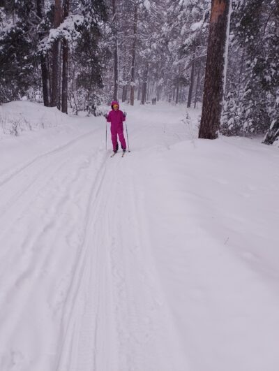 Фото — автора.