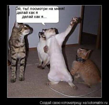 С просторов интернета