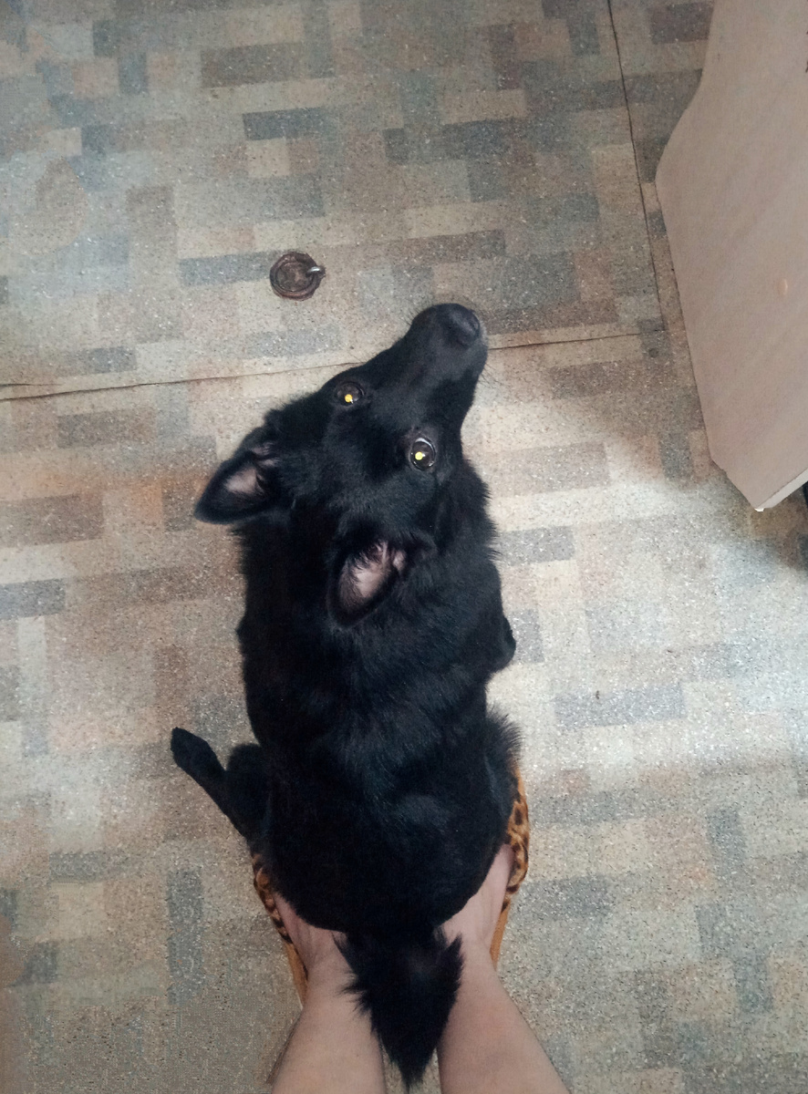 Мой личный обогрев ног 😅♥️