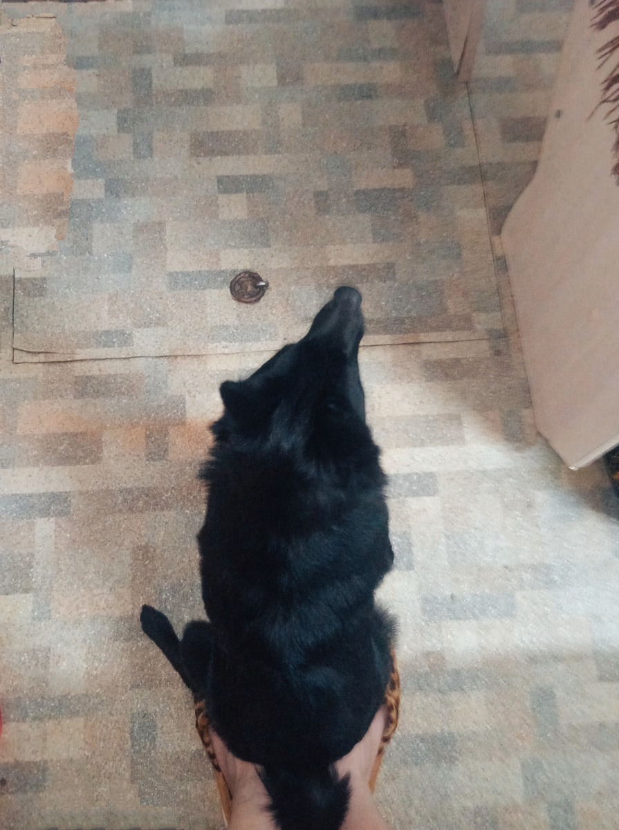 Мой оберег держит все под контролем 😁♥️