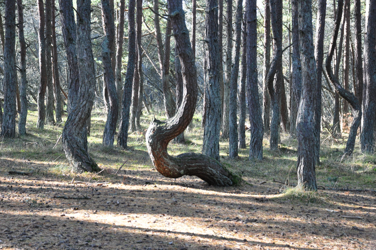 9 октября 2018 года.