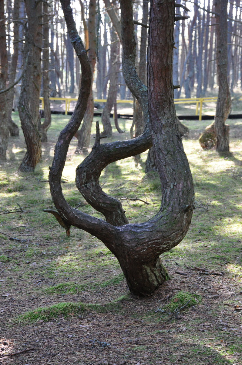 9 октября 2018 года.