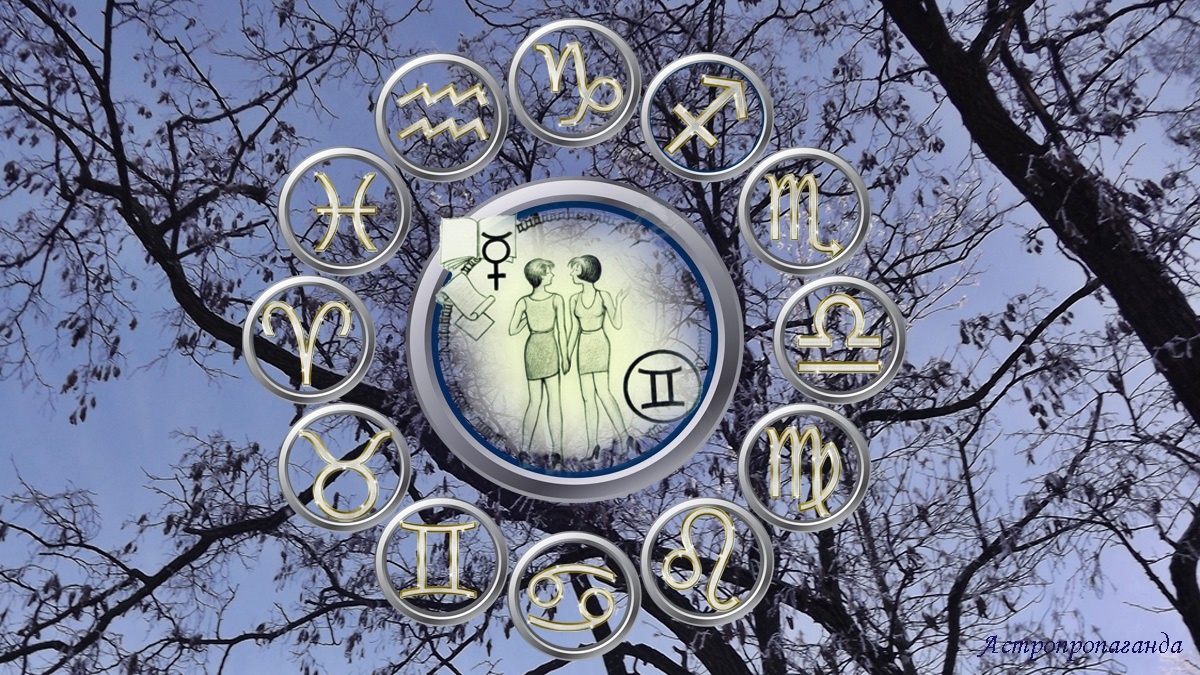 Гороскоп для Близнецов со 2 февраля по 1 марта 2026.