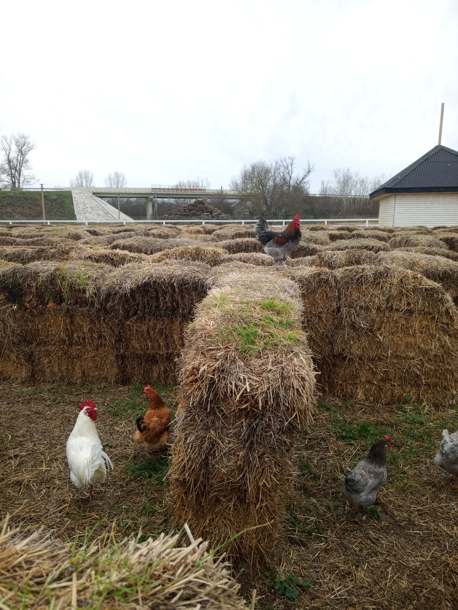 Большой лабиринт