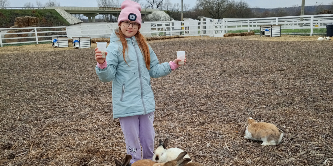 Дети не хотят оттуда уходить! Куриный лабиринт и Ферма-парк.