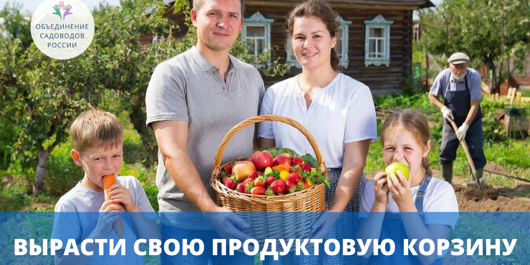 Сад и огород: личная продовольственная безопасность в эпоху удорожания продуктов