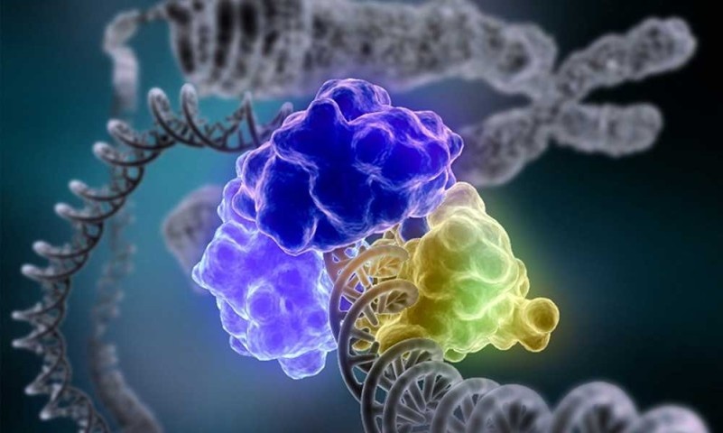 Роль ферментов в ускорении химических реакций и детоксикации