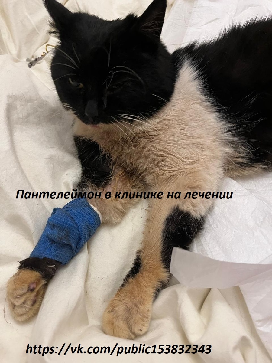 Пантелеймон после капельницы 