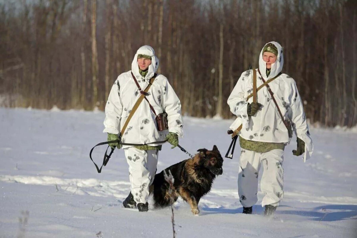  © Пограничный комитет Беларуси, Telegram