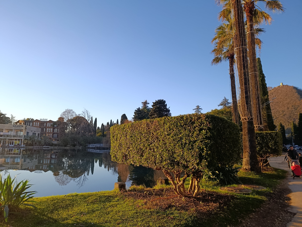 При заходе в парк я обратила внимание на такие аккуратно подстриженные кусты у пруда