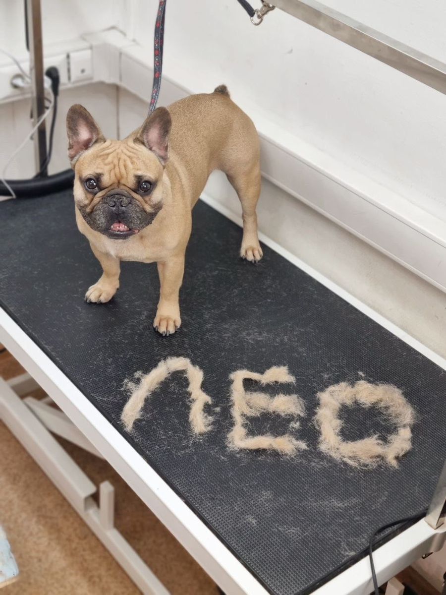 Творчество