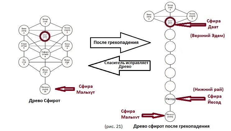 Два Мессии в пророчествах: сын Иосифа и сын Давида