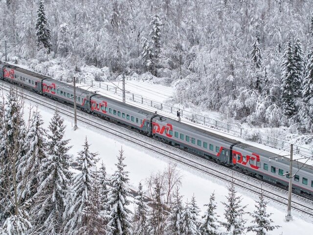    Фото: телеграм-канал "Телеграмма РЖД"