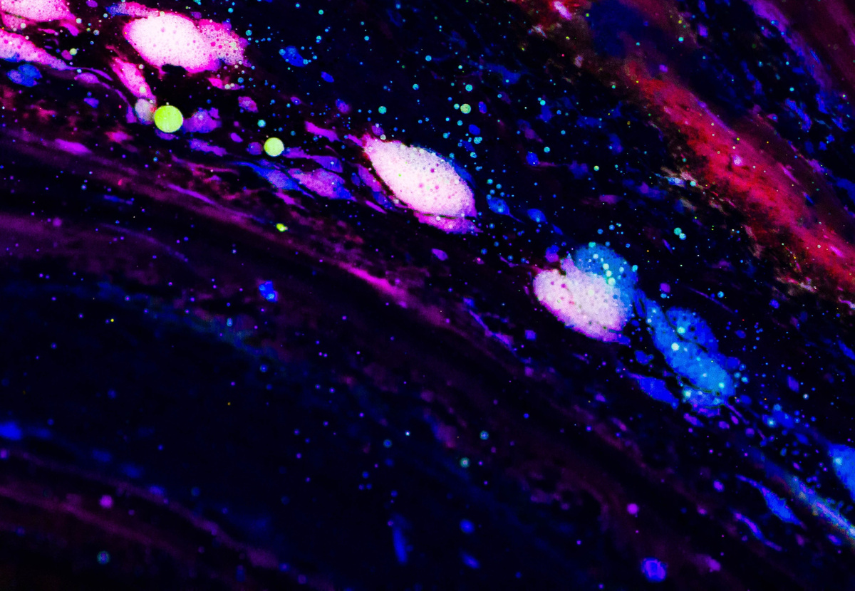 Фото: Danny Lines с сайта unsplash.com