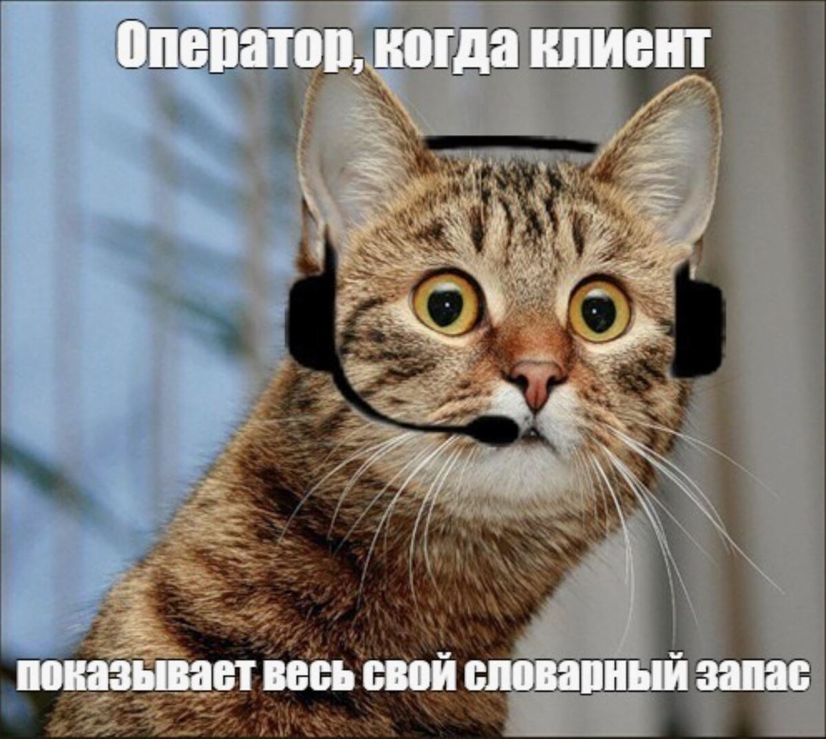 источник Яндекс-картинки