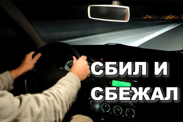 Та самая секунда, когда инстинкт «беги» побеждает здравый смысл. И зря.