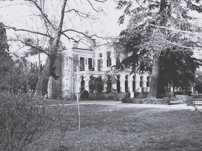 Дача Николая Дмитриевича в Алуште