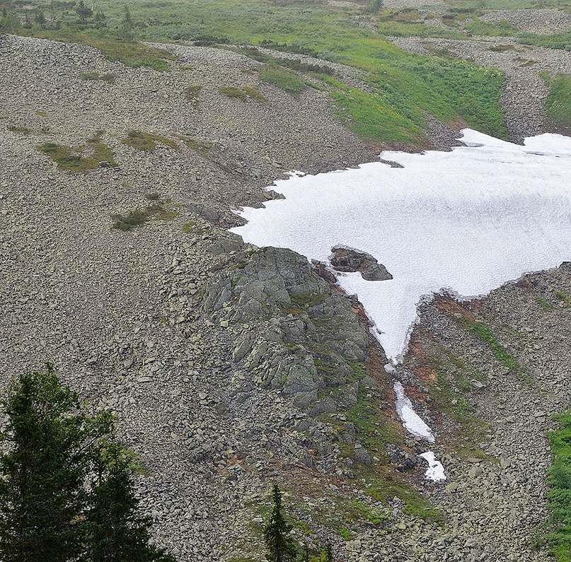 Снежник на склоне холма.