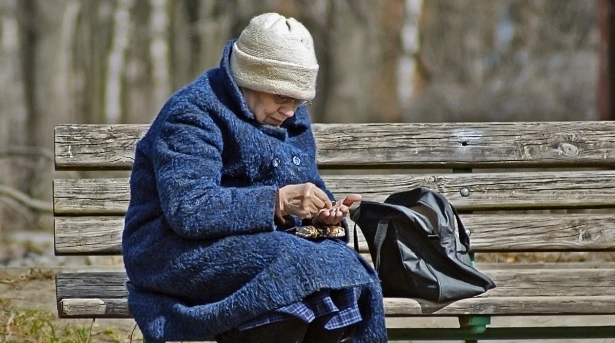 фото из открытых источников