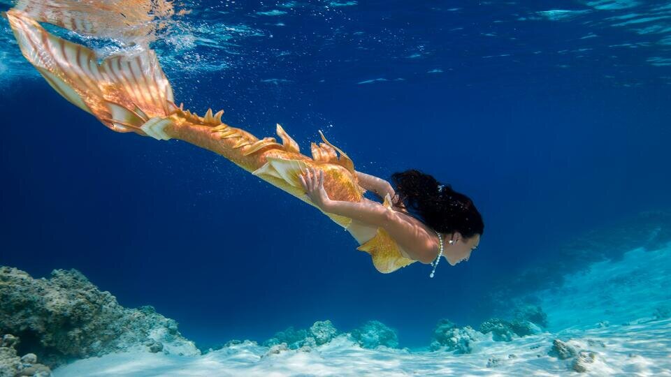 Фото: © Global Look Press/Andrey Nekrasov/imageBROKER.com