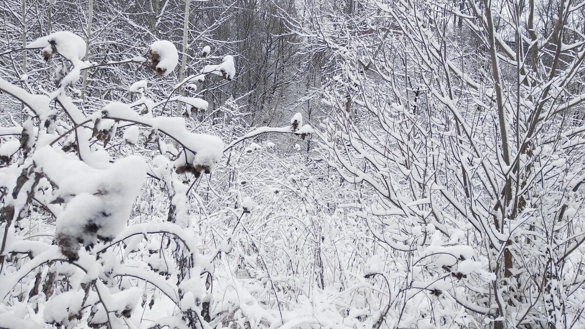    Чем заняться в Белгороде в пятницу?   1MI
