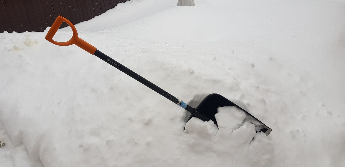    Ирина Меркова