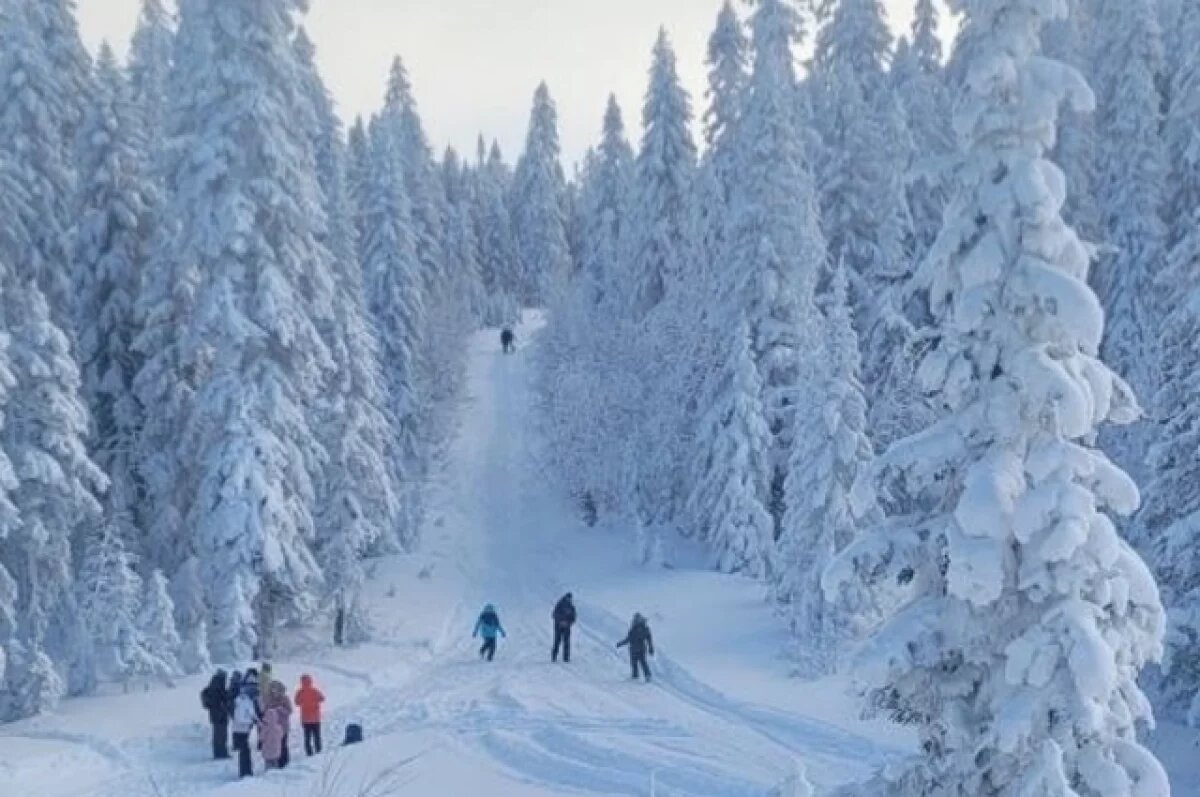    Холодный фронт: Хабаровский край ждёт морозный день 6 февраля 2026