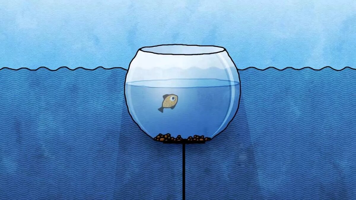 Зона комфорта, картинка из Интернета