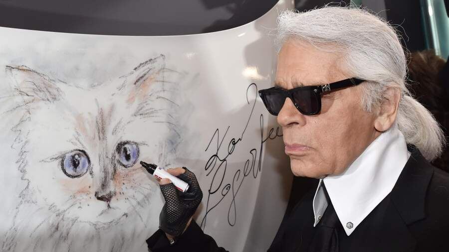    Фото: Global Look Press/Jens Kalaene