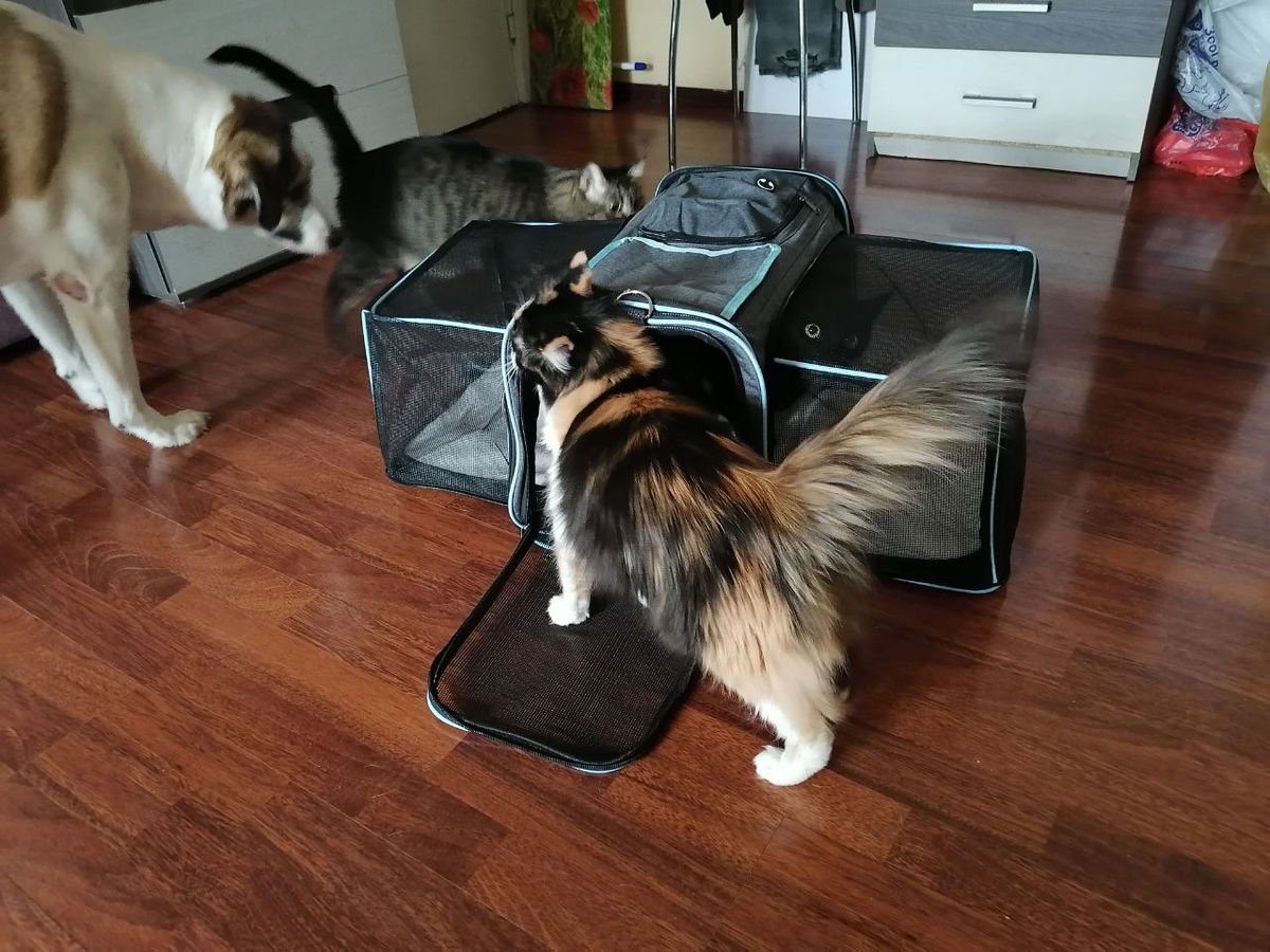 Фото автора