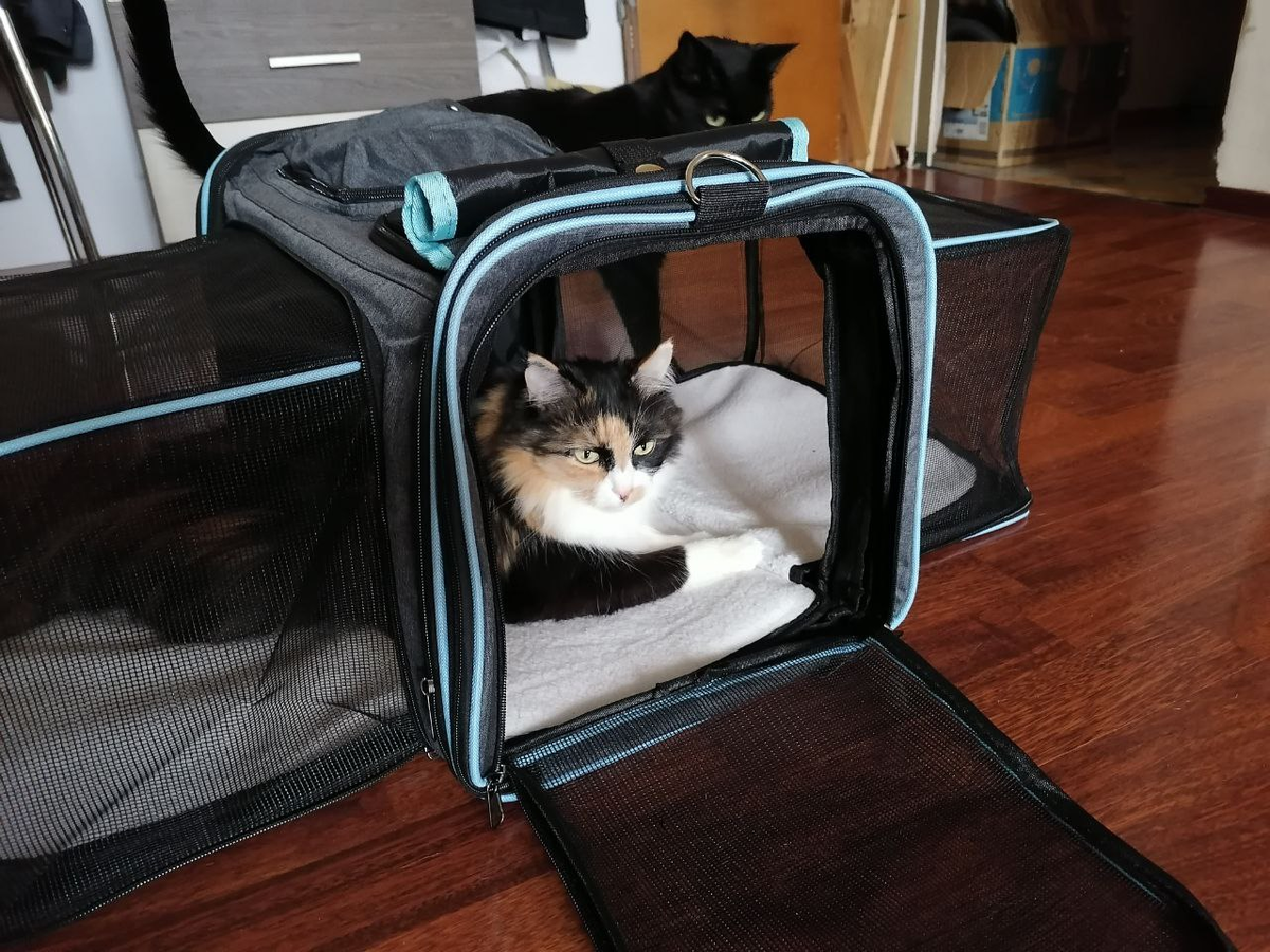 Фото автора