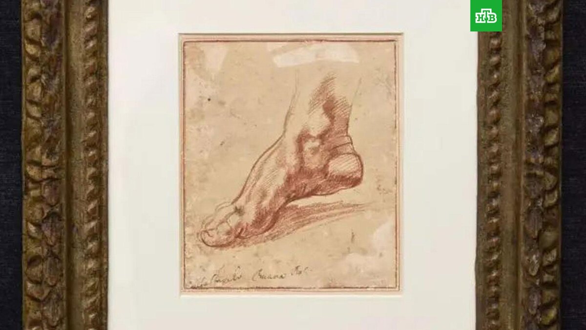    Фото: соцсети