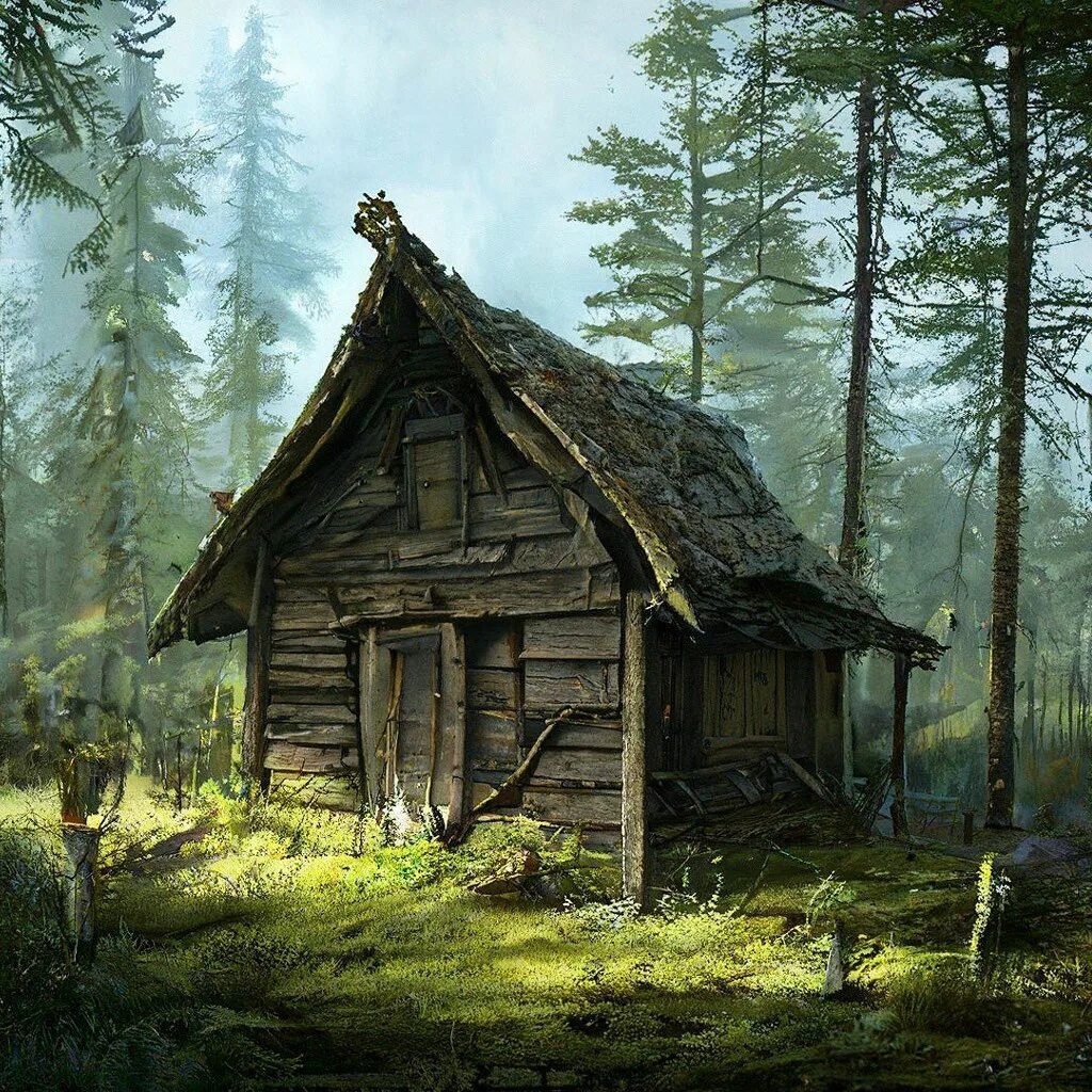 Взято из открытых источников интернета Яндекс.