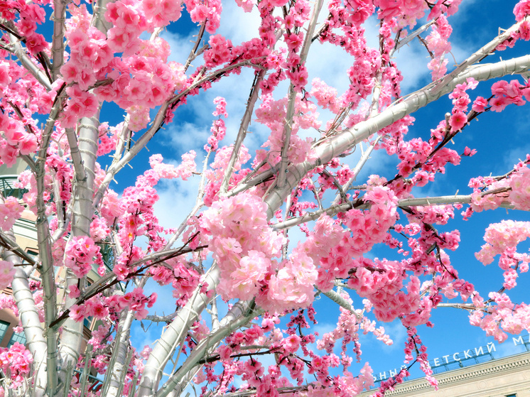     Фото Геннадий Черкасов