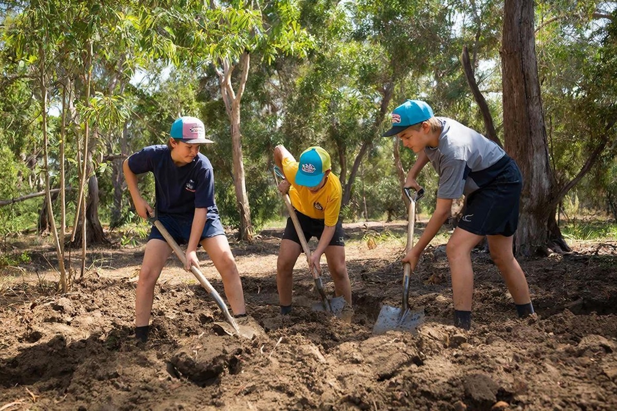    Фото: коллаж RuNews24.ru