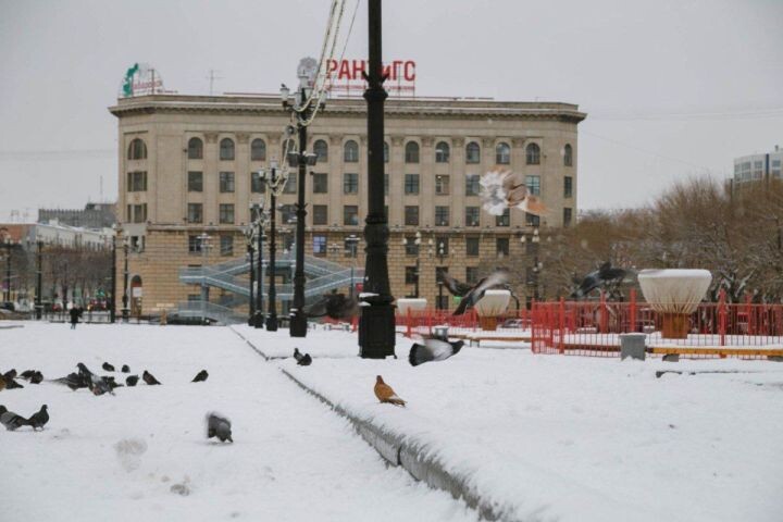    Фото:Ольга Григорьева