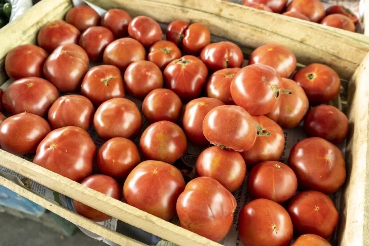    На границе Новосибирска выявили заражённые томаты из Узбекистана