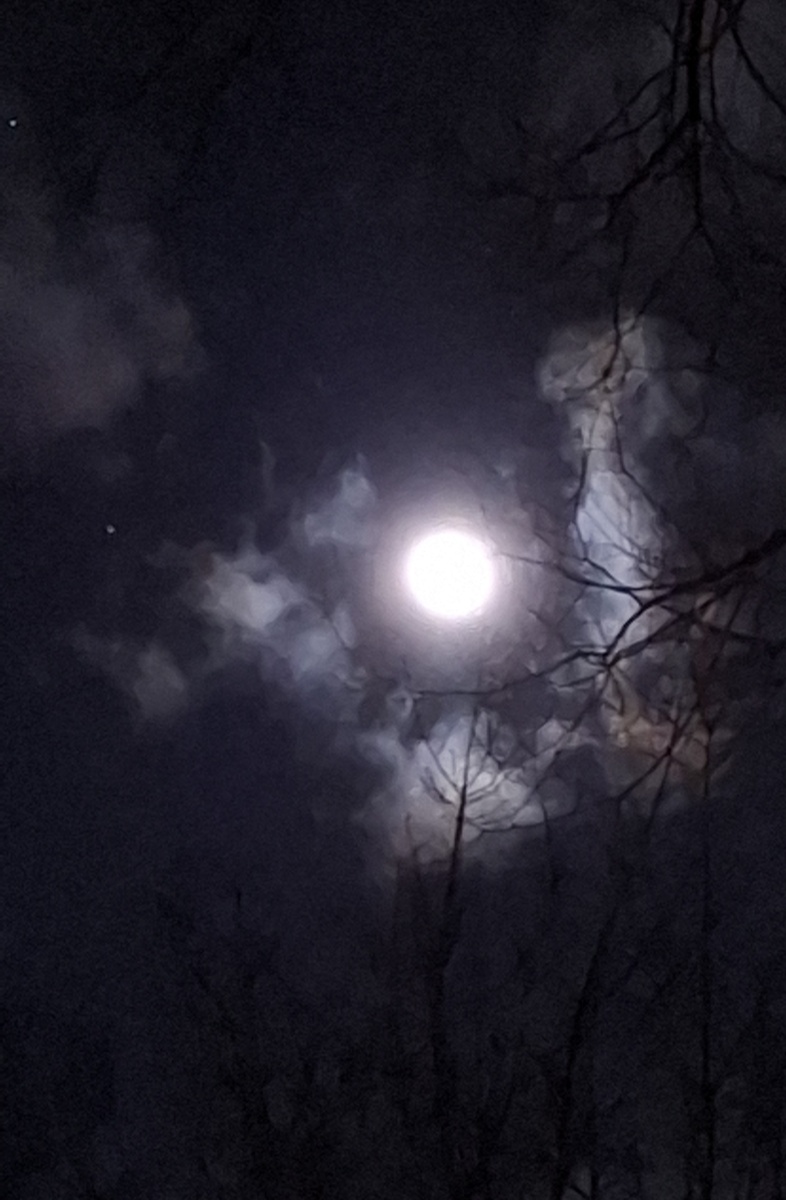 Фото автора канала