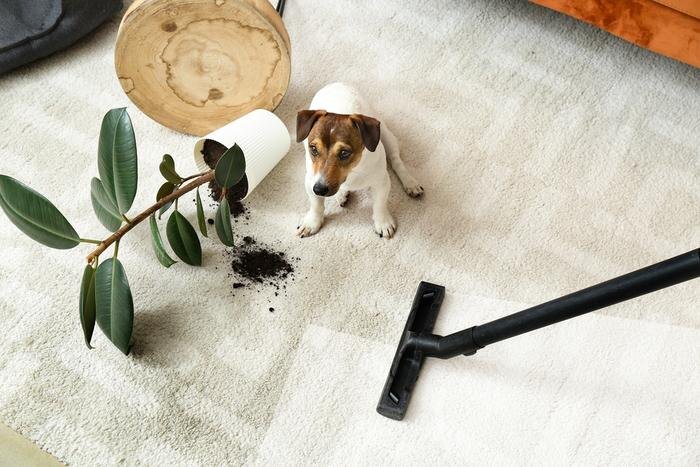 Обложка © Shutterstock / FOTODOM / Pixel-Shot