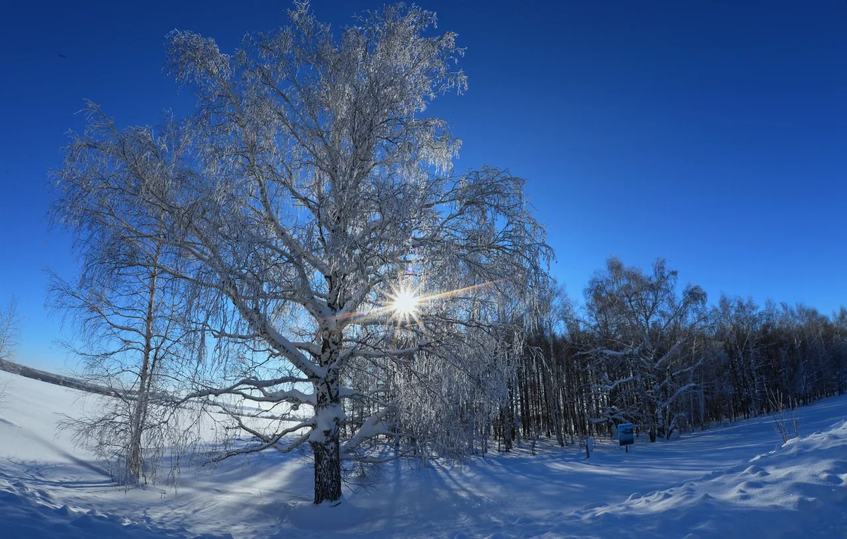 Фото: Олег Рукавицын/Царьград