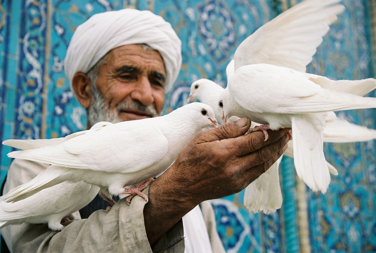 Зерно для голубей здесь — главная валюта. Купил зерно — купил немного удачи.