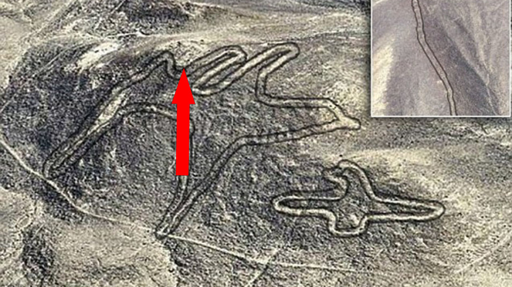    ИИ понял послание тысячелетий 303 загадочных фигур на песке