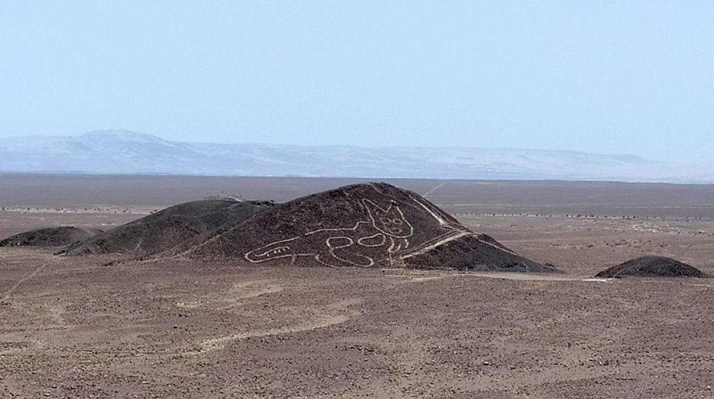    ИИ понял послание тысячелетий 303 загадочных фигур на песке