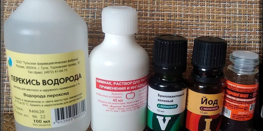 13 самых лучших средств для обеззараживания семян: эффективных средств для обеззараживания семян, которые всегда под рукой